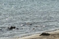 IMG_0138