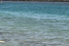 IMG_0140