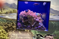 IMG_0183