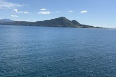 IMG_0219
