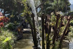 IMG_3297