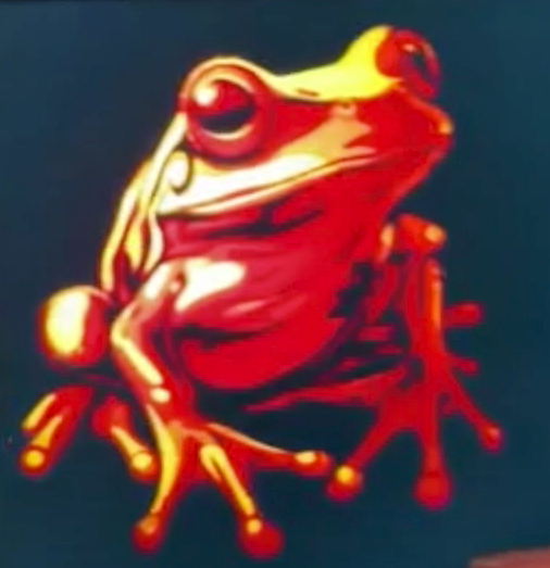 Lithophane Frog
